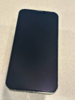 256 GB iPhone 13 Pro Max Unlocked