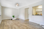 Spacious, modern apartment interior with natural light, featuring wood flooring and a cozy plant accent.