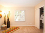Cozy apartment interior featuring colorful decor, window view, and inviting atmosphere at Bella Terraza Apartments.