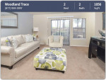 Newly remodeled 2 bed / 2 bath with upgrades galore!