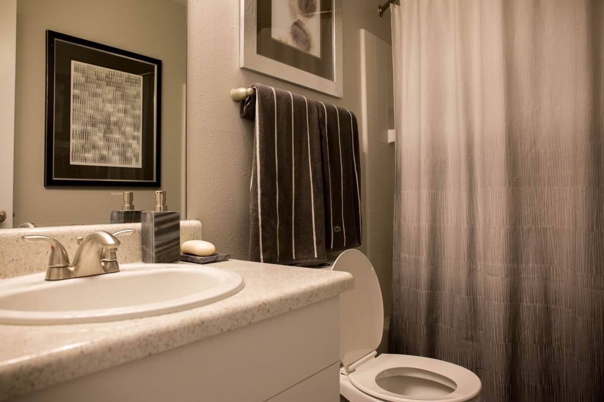 We welcome your furry friends! Pet Friendly! 1 Bd / 1 Ba / 754 SqFt