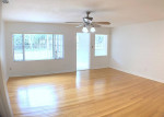 Perfect 3BR/1BA South Tampa home with Large Fenced Yard