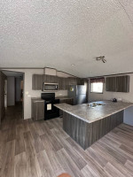 Brand new mobile home for rent