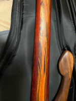 Prometeus 5 string custom bass