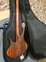 Prometeus 5 string custom bass