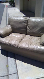 Loveseat Sofa