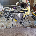 Schwinn Super Sport