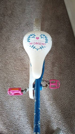 SeaStar Bike for Girls