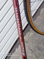Schwinn   Continental