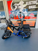 His and Hers Electic Bike
