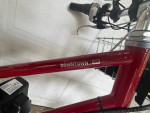 Internal hub step through bike w/ e-bike motor