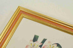 Colorful Stylish Picture Wood Frames. Width 1.2" x Height 1.2".