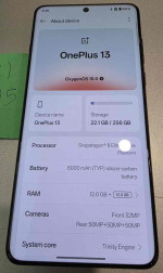 OnePlus 13 Unlocked