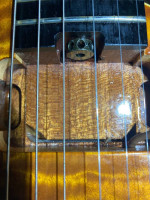 Ornetts gm8 electric guitar (Extra long tenon)