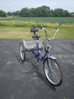 Blue  24" Adult Trike 3  Wheeler