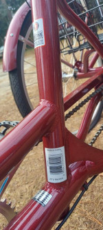 Schwinn 3 Wheel Bike