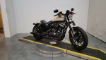 2022 Harley-Davidson XL 883N 2022 Iron 883