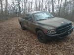 1997 Dodge Dakota Sport 4WD in camouflage, parked among autumn leaves, showcasing its rugged design.