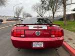 Rear view of a 2005 Ford Mustang Deluxe Coupe in red with a clean exterior parked on the street.