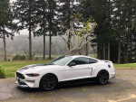 2019 Mustang GT California Special with custom racing stripes parked in a scenic landscape