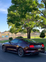 2018 Ford Mustang EcoBoost in great condition parked under trees, showcasing its sleek design and premium features.