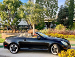2005 Lexus SC430 convertible parked in a vibrant garden, showcasing its sleek design and luxurious features.