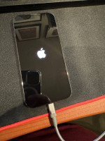 iPhone 13 Pro - Unlocked - Excellent