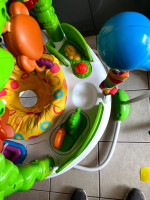 Fisher Price Go Wild! Jumperoo® DTL57