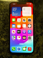 iPhone 13 Pro unlocked